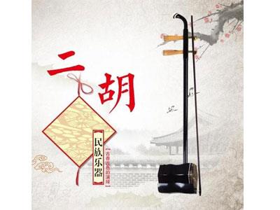 招聘十堰二胡家教老师